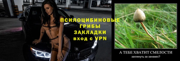 стафф Козельск