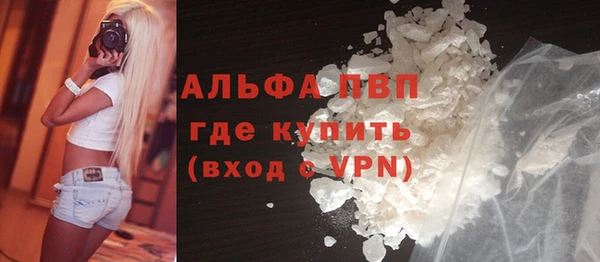 стафф Козельск