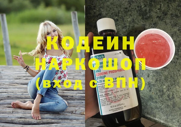 соль ск Кодинск