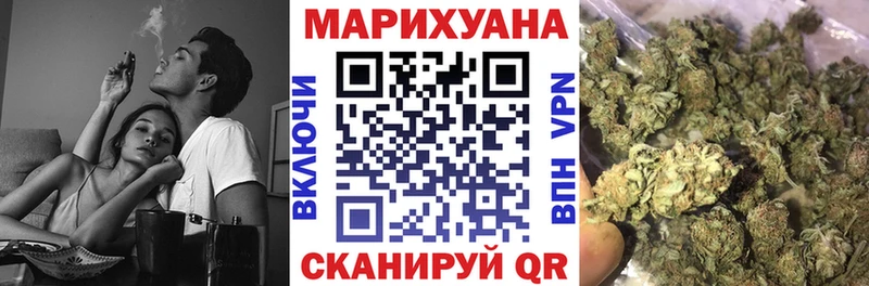 Конопля OG Kush  Купить  Дмитриев 